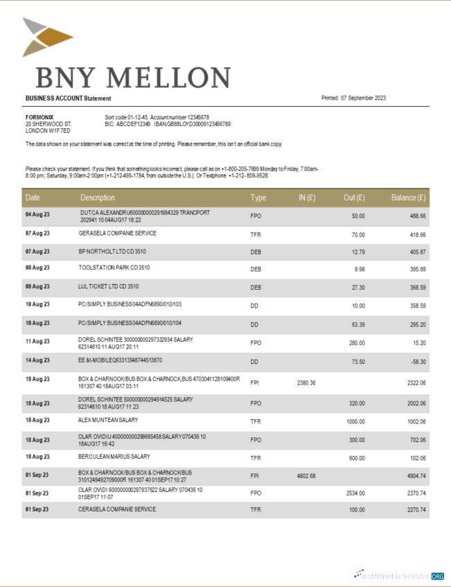 Download BNY Mellon Bank company checking account statement Word and PDF template Photoshop template